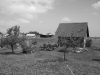 07_manija2007