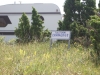 08_manija2007