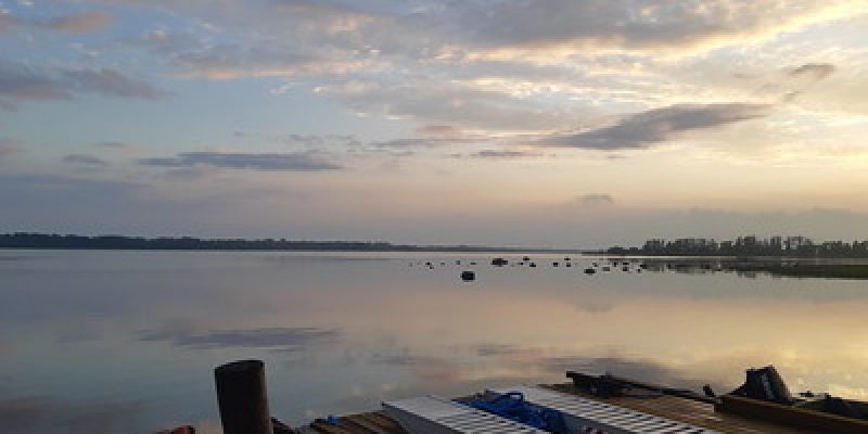 55132239419_a60ec16e05_w