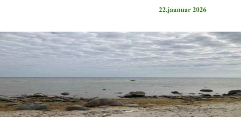 Kuvatõmmis 2026-01-23 102447